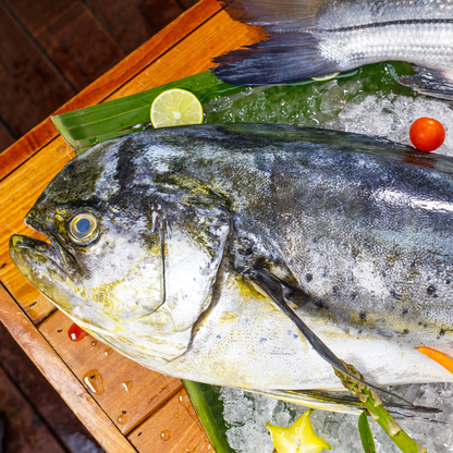 Mahi-Mahi fillet(500 gm)