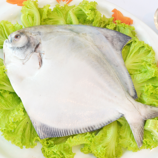 Chinese pomfret(700 -800 gm)