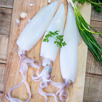 Clean Frozen Squid(500 gm)